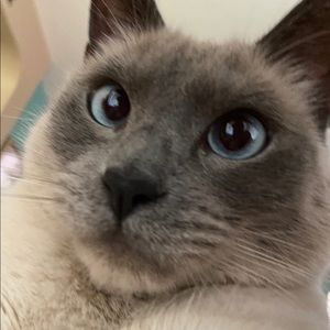 Meet your Posher, Marcus